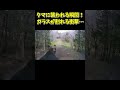 【衝撃映像】山道でクマが車を襲撃！フロントガラスが割れる瞬間… #shorts #ドラレコ #ドライブレコーダー #クマ #viral