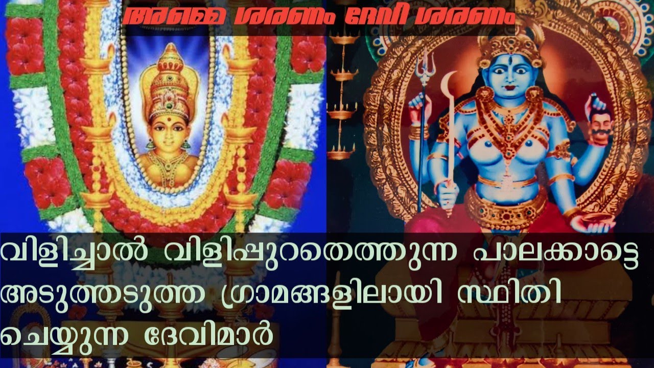 pallassanakavu and perungottukavu bagavathy temple|palakkad|പല്ലശ്ശേക്കാവ്|പെരുങ്ങോട്ടുകാവ്