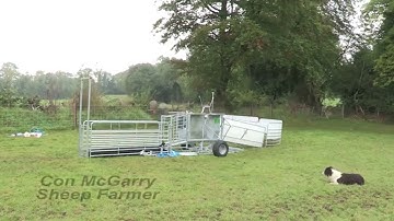 Shepherdsmate Sheep handling unit set up