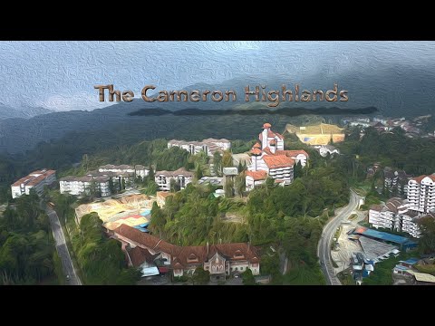 The Cameron Highlands || Tanah Rata || 4K