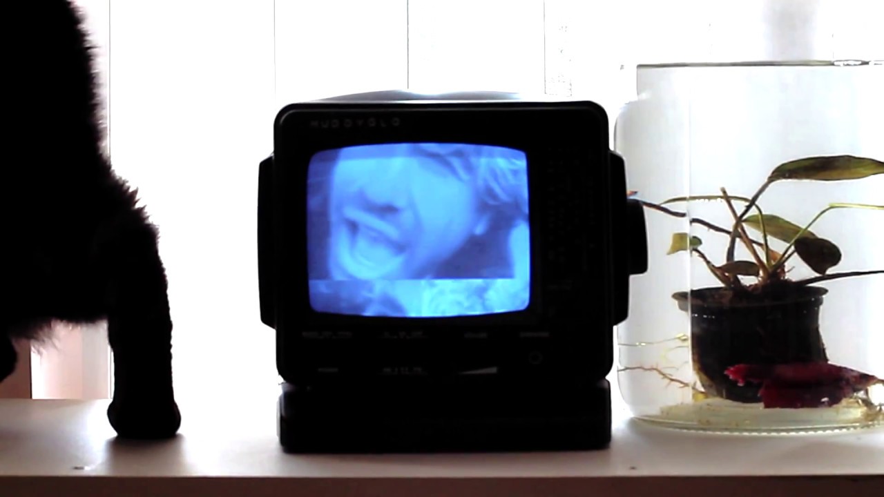 Hudson Glover - Hrtvoiid2 (Official Video)