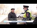 Много ДТП по вине пешеходов  Новости Кирова  05 05 2021