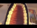 Olivia Stowell Vore 