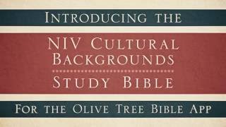Look Inside: NIV Cultural Background Study Bible screenshot 5