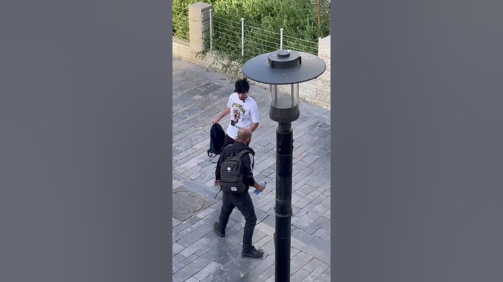 גנב תיקים 🎒