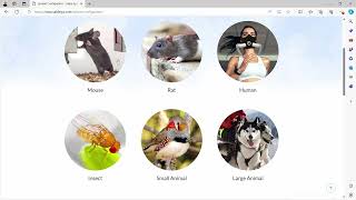 System Configurator Walkthrough