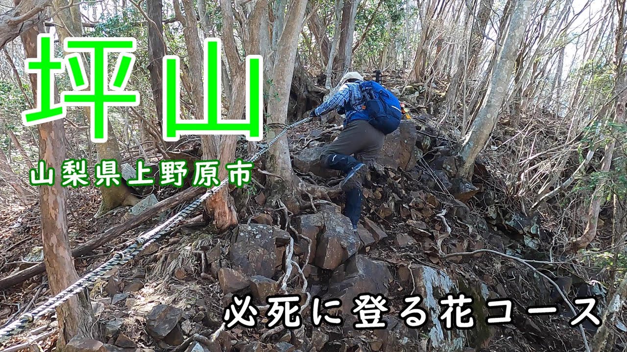Tsuboyama. Rocky areas, steep slopes, narrow ridges, Rhododendron
