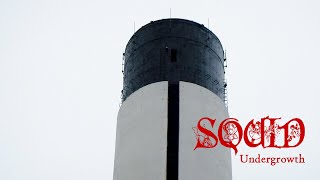 Squid - Undergrowth (Official Audio)