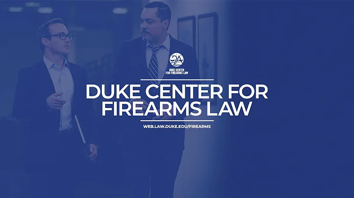 Jane K. Stoever | Scholarship Highlight, Firearms ...