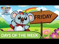 Wonderkoala 7 days of the week   das de la semana en ingls original kids song