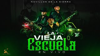 Novillos De La Sierra - La Vieja Escuela  [En Vivo 2023] Resimi