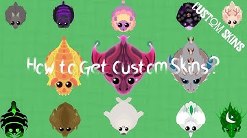 How To Get Custom Skins in 14 Steps | MOPE.IO CUSTOM SKINS