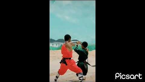 BRAIN JOTTER THE KUNG FU MASTER