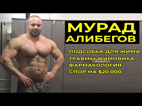 Видео: МУРАД АЛИБЕГОВ / ПОДСОБКА, ТРАВМЫ ЖИМОВИКА, ФАРМА, СПОР НА $20.000