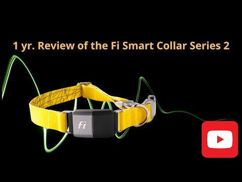 Review of the Fi Series 2 Smart Collar