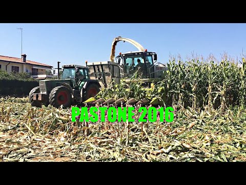 PASTONE DI MAIS 2016 Con Class Jaguar 970 e Barra Capello 6 File F.lli Candiotto