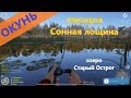 Русская рыбалка 4 - озеро Старый Острог - Окунь на поролон