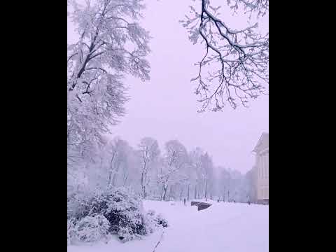 "Снег на моей голове." - YouTube