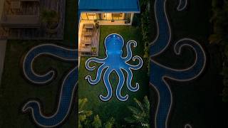 “Octopus Pool Build Timelapse | Backyard DIY Swimming Pool Construction with LED Lights 🐙”
