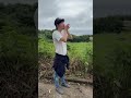 【天然記念物】見島牛って知ってる?