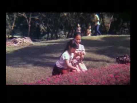 film iwan fals damai kami sepanjang hari 3gp