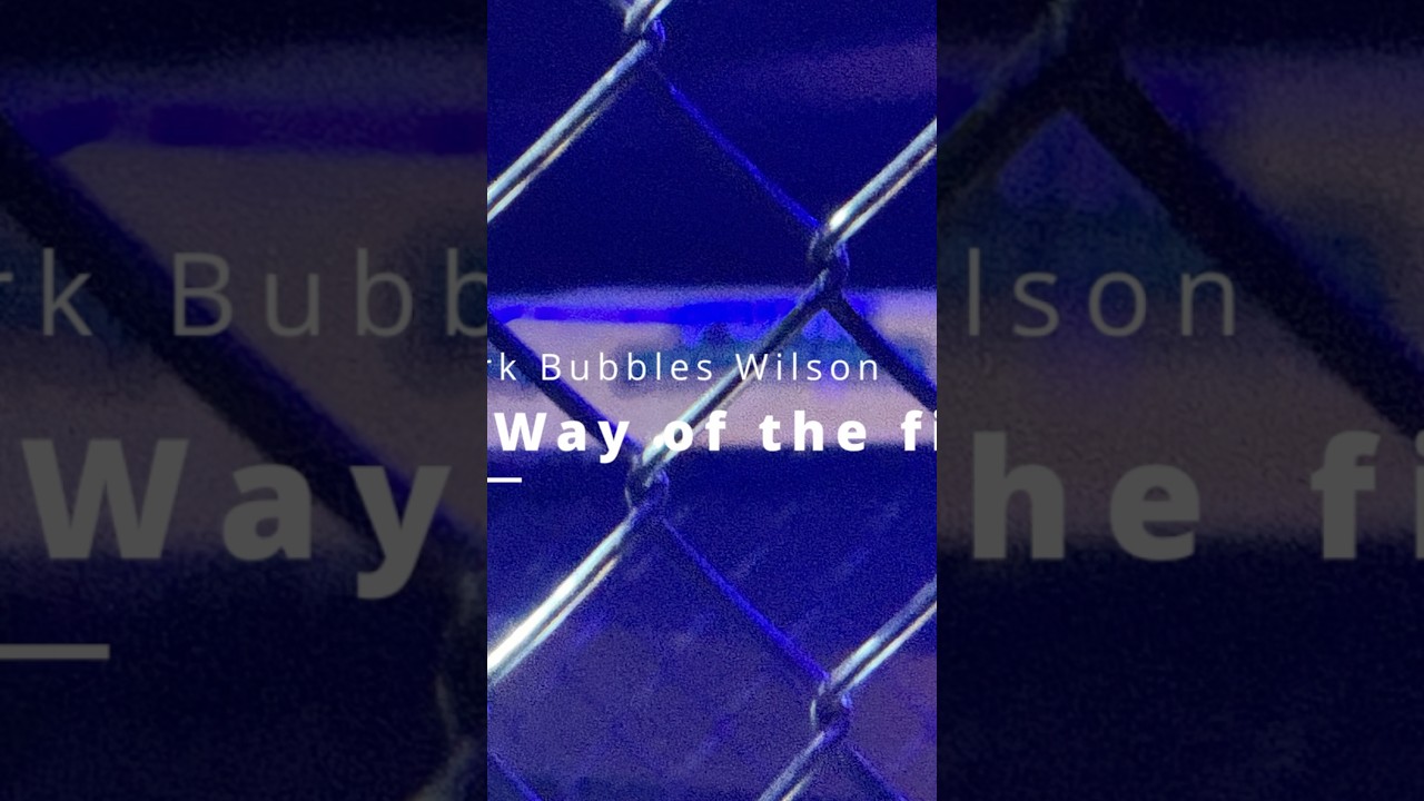 The Way Of The Fighter by Mark “Bubbles” Wilson 