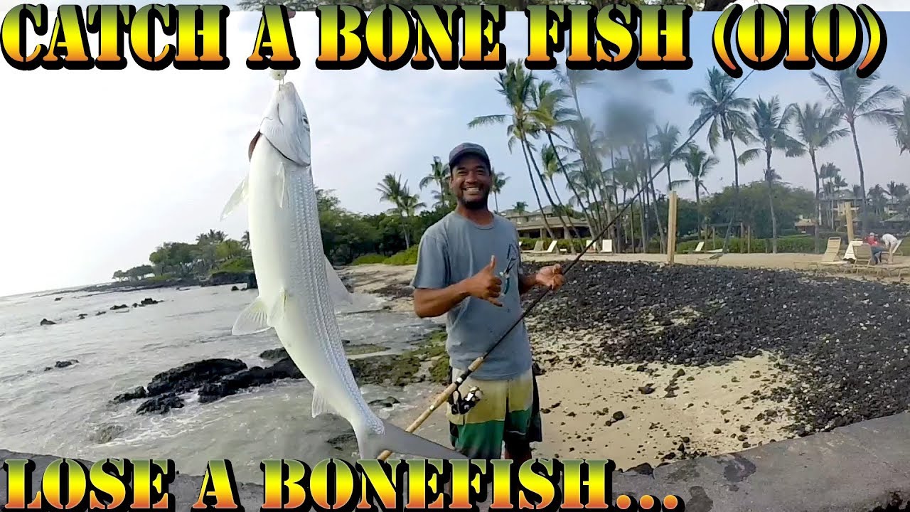 Catching Bone Fish (Oio) In Hawaii - Big Island, Hawaii Fishing Video ...