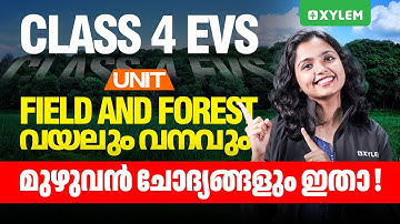 Class 4 Evs | Unit : Field and Forest - വയലും വനവും - മുഴുവൻ ചോദ്യങ്ങളും ഇതാ | Xylem Class 4