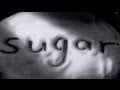 Toxic Sugar? | There are different types of "calories"!