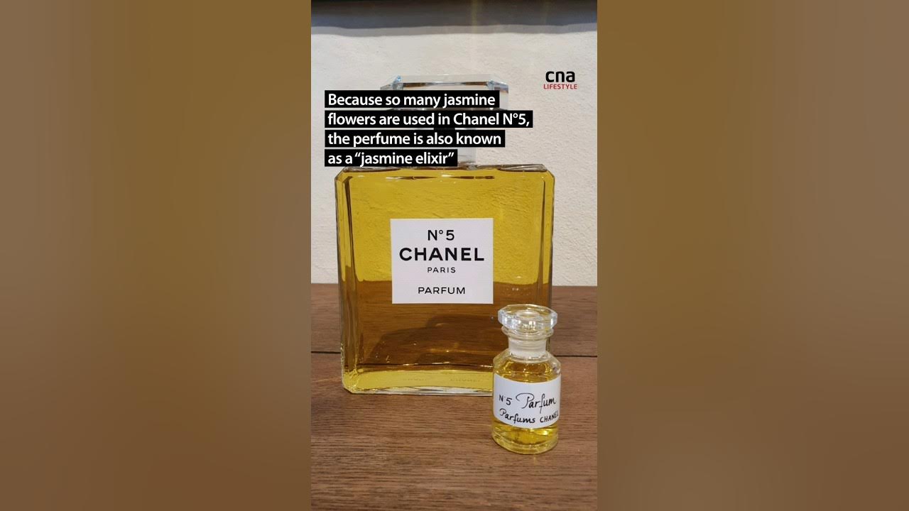 How Chanel N°5 perfume is made with jasmine flowers in France
