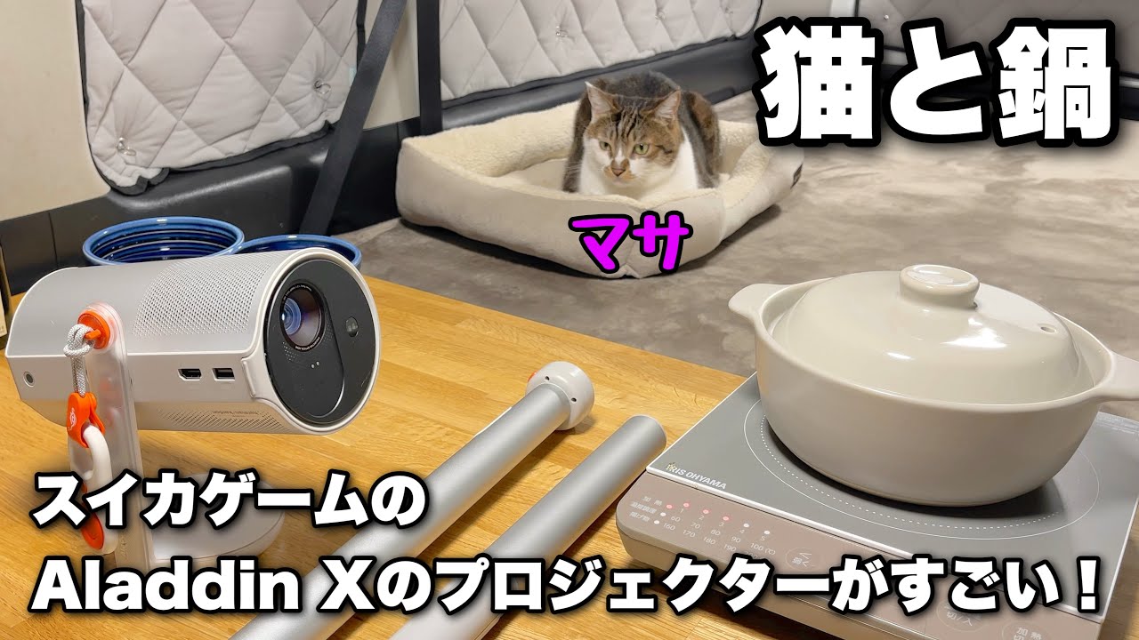 In-car cinema with a portable projector [Aladdin X / Poca] - YouTube