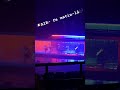 AIR -Ce matin-là - Philly - 10/17/24 #AIR #AIRfrenchband ​⁠