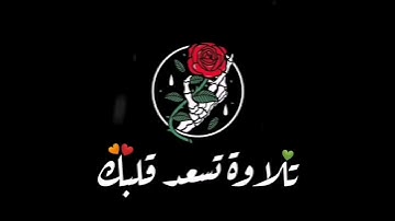 حالات واتس اب تلاوة خاشعة للقارئ هلويست نصر الدين