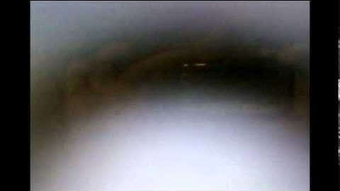 Black Ops no scope Across the Map