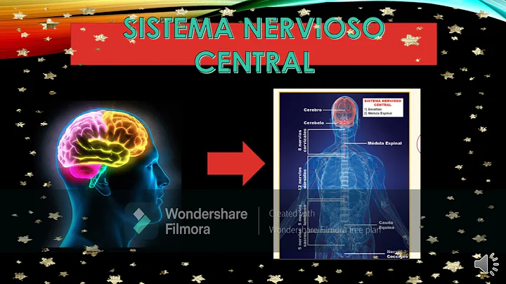 SISTEMA NERVIOSO