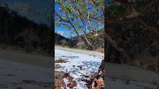 snow blessings ❄️🌨️ #शब्द_समाधि #sanatandharma #sunya #mahadev