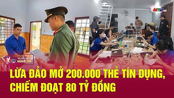 Lừa đảo mở 200.000 thẻ tín dụng, chiếm đoạt 80 tỷ đồng