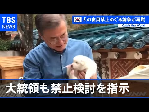 韓国・犬肉食をやめるべきか？  論争が再燃 大統領も禁止検討を指示