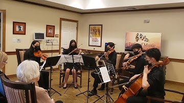 String Quartet: Beethoven Quintet Op 29 in C Major 1st Movement