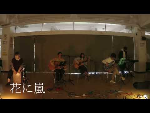 花に嵐　米津玄師【アコスタ新歓ライブ2023】