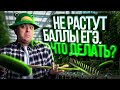 Не растут баллы ЕГЭ по физике, что делать? | Саня Эбонит