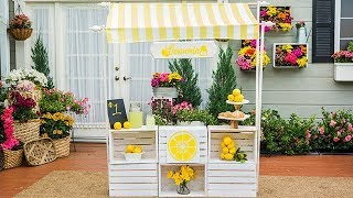 Ken Wingard's Lemonade Stand  Home & Family