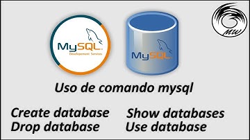 Como crear, usar, eliminar y mostrar base de datos en MySQL | Workbench