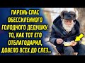 Парень спас обессиленного голодного дедушку, как тот его отблагодарил, довело всех до…