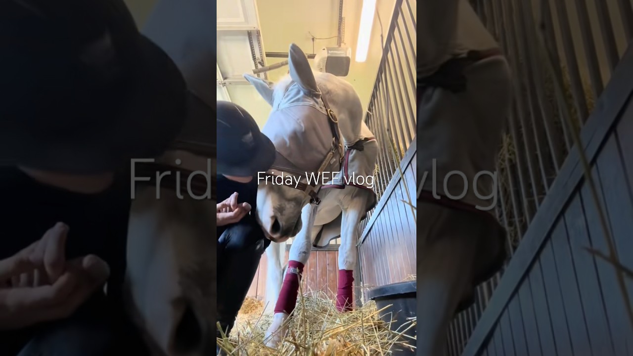 WEF horse show vlog 