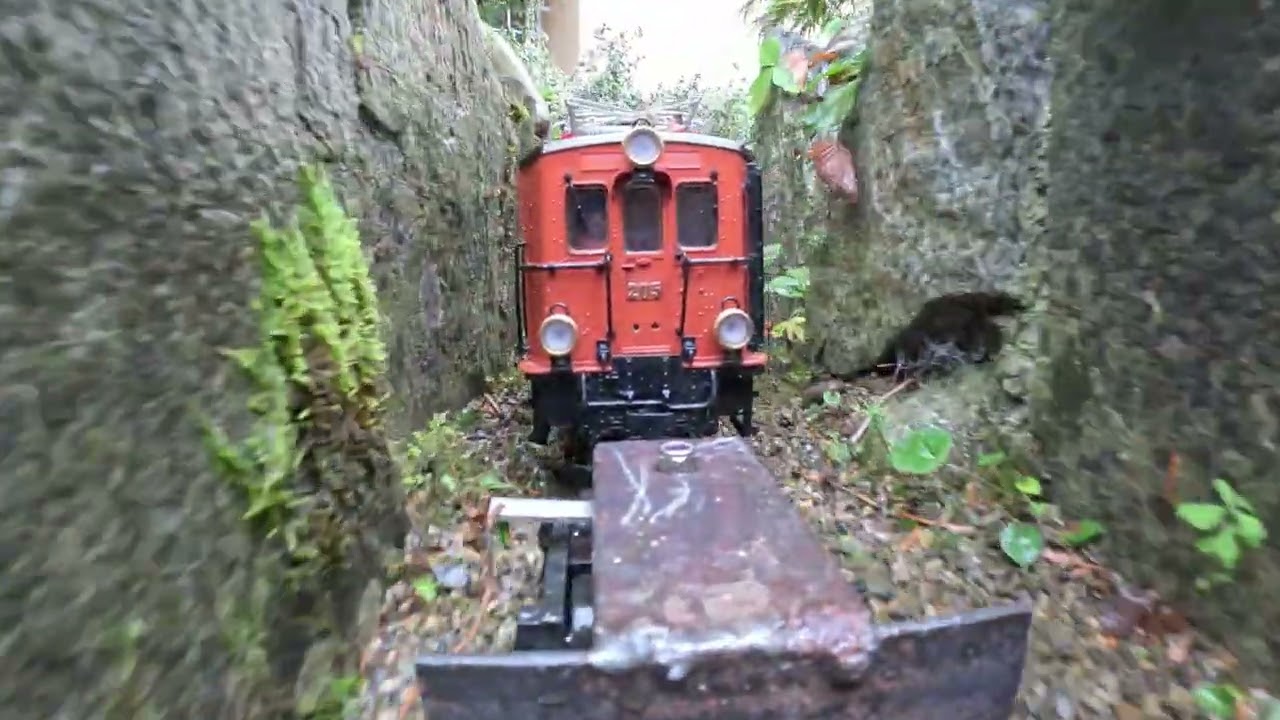 Gartenfahrt GARTENBAHN 2024 Spur G