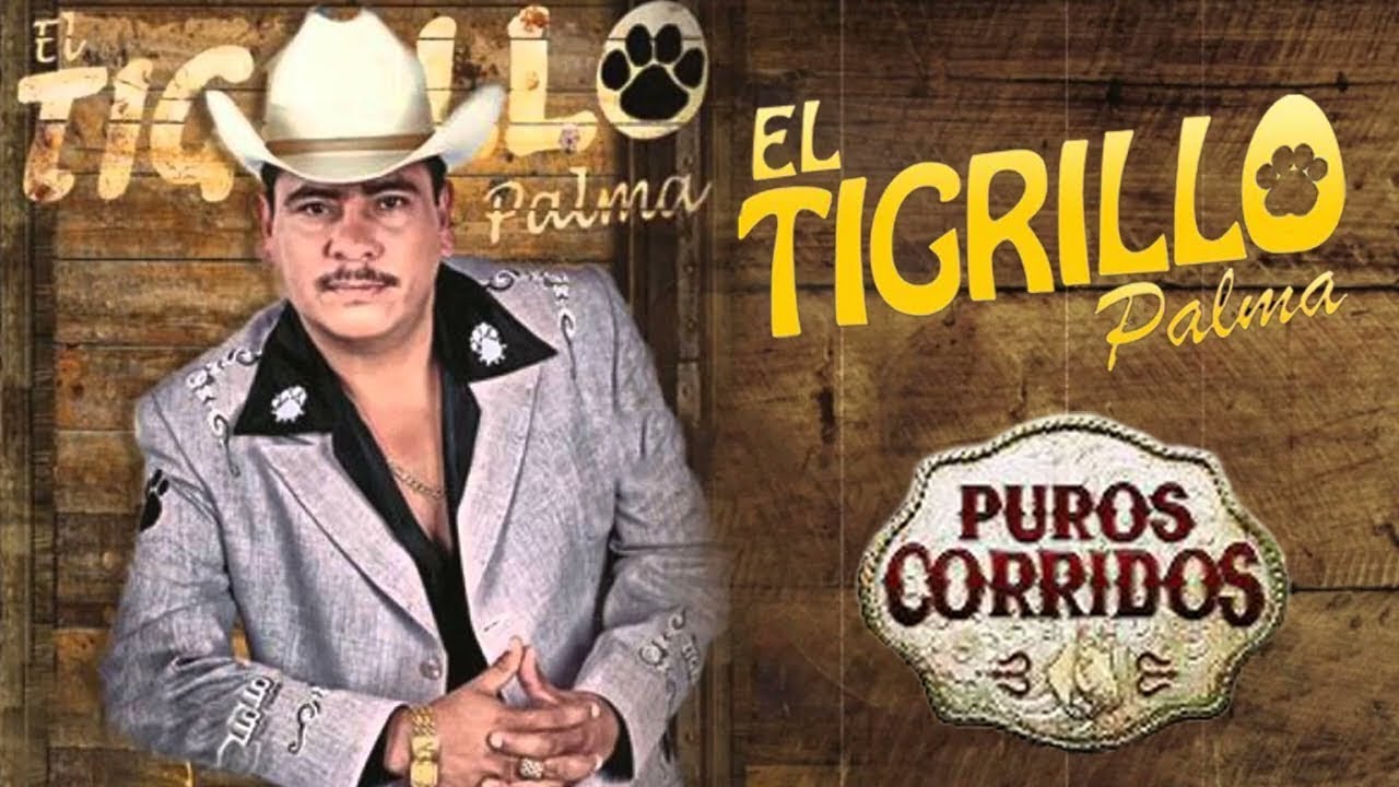 El Tigrillo Palma   Corridos Perrones Mix   Pa Pistear  gamesunwin  appsunwinw  Sunwin  SUNWIN