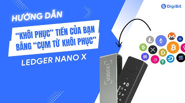 Hướng Dẫn "Khôi Phục" Tiền Của Bạn Bằng "Cụm Từ Khôi Phục" Ví Bitcoin Ledger Nano X