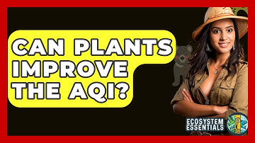 Can Plants Improve The AQI? - Ecosystem Essentials