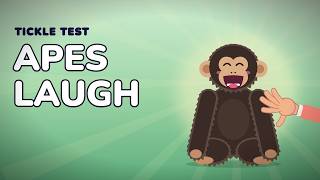Why Do We Laugh When Tickled? And Why You Can't Tickle Yourself